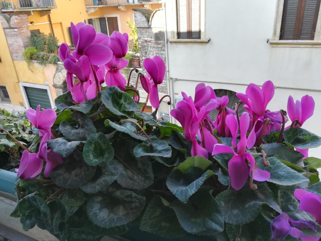A Casa Di Luca 호텔 베로나 외부 사진